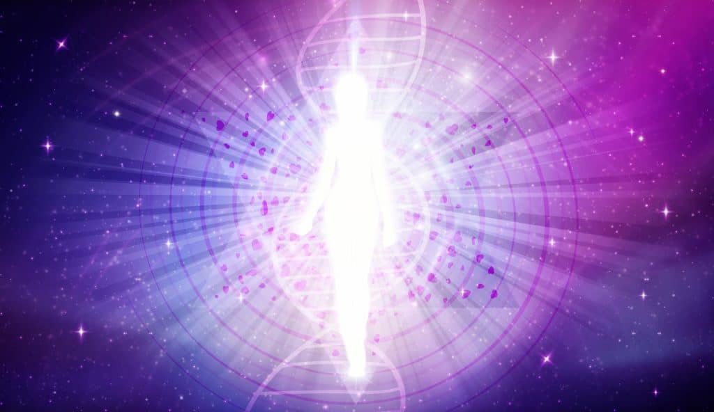 The Principals of Reincarnation